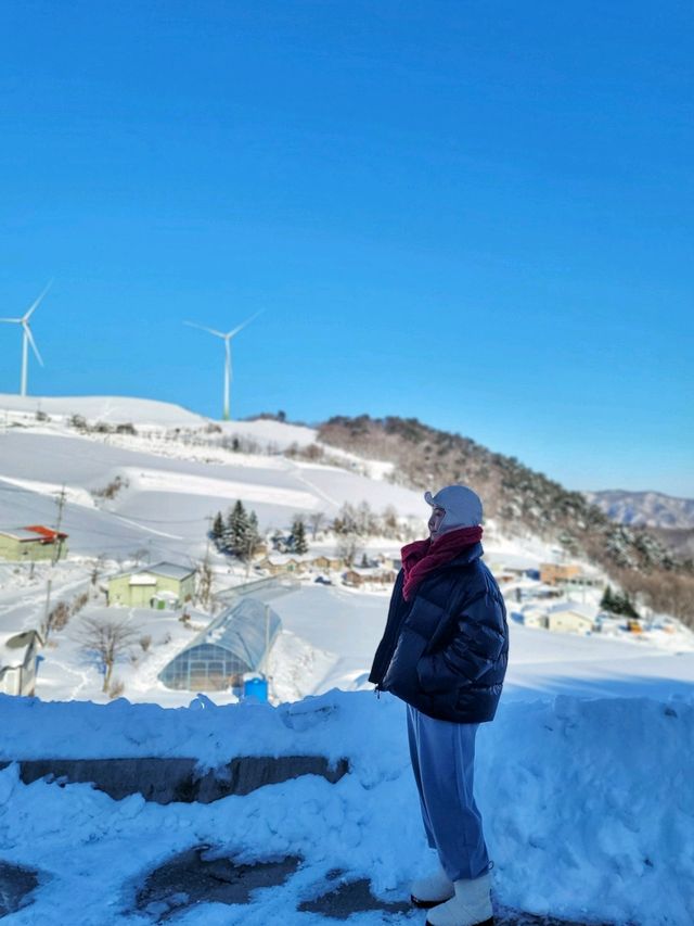 설원의 아름다움을 한눈에 담는 곳🩵