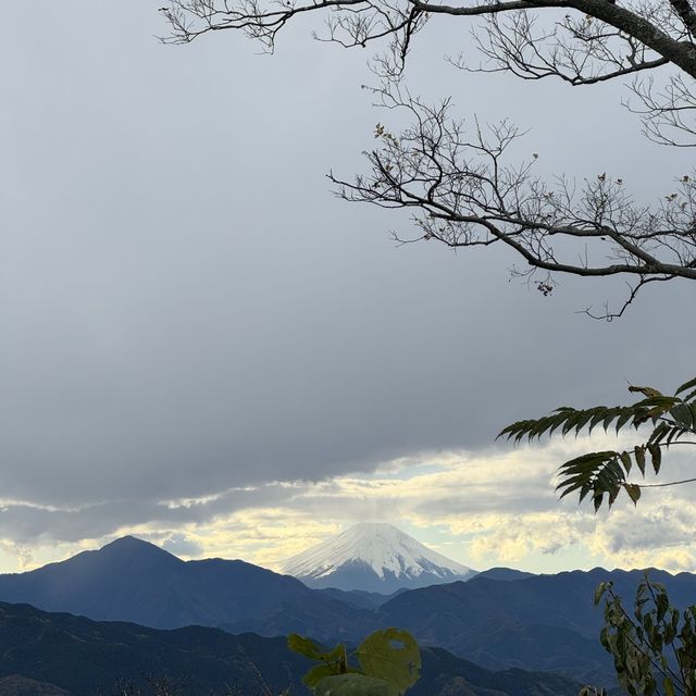 【2024】東京近郊好去處！高尾山：纜車上山，可望富士山！