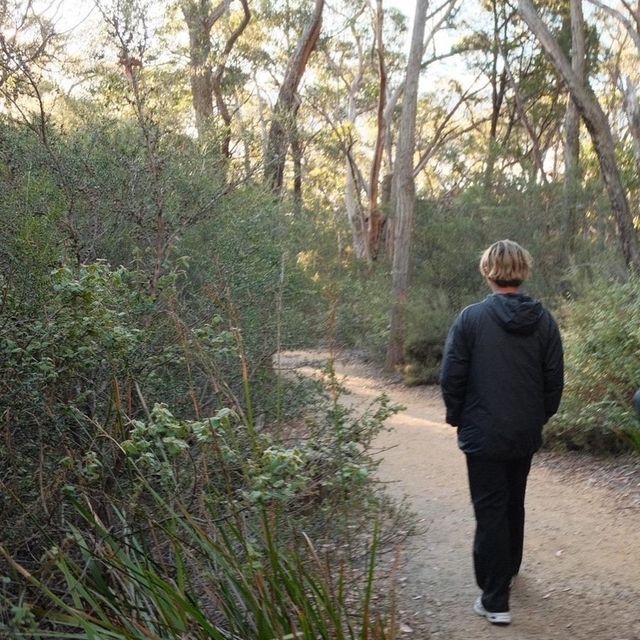 grampians national park 