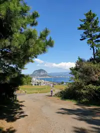 윤슬 위로 걷는 찬란함, 송악산 둘레길
