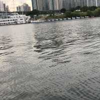 Duck boat on the Han River