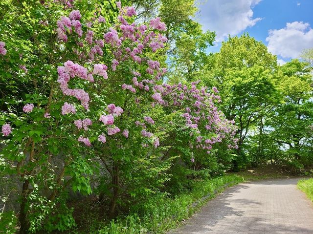 Tenjinyama Ryokuchi Park