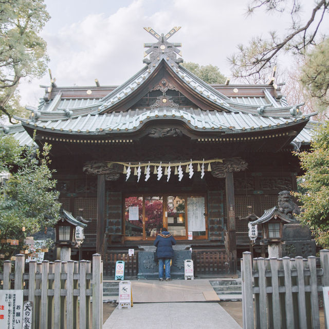 【東京】飛行機✈️×桜🌸を楽しめる「荏原神社」が見ごろになりました！