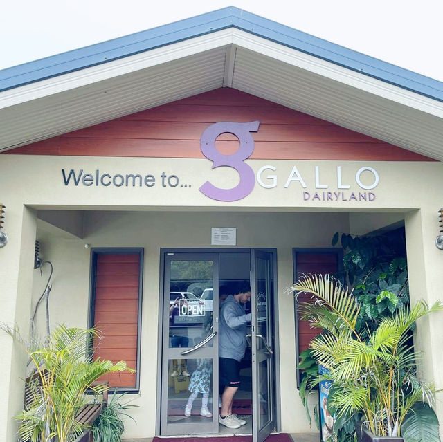 Gallo Dairyland, Cairns Queensland 🇦🇺