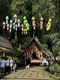 เด็กเกาะตะลุยเหนือ