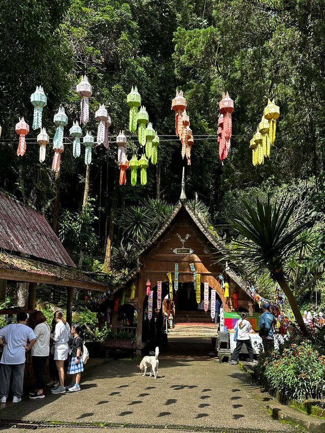 เด็กเกาะตะลุยเหนือ