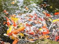 Hua Hin Safari & Adventure Park 