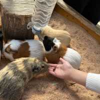 久山ふれあい動物園