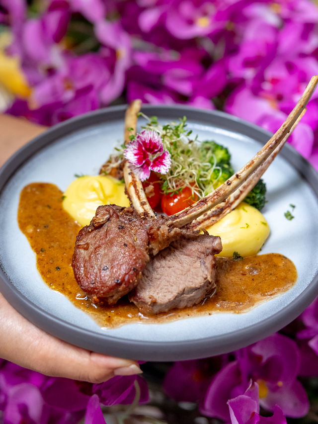 Experience Elevated Dining and Wine