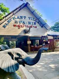 Elephant Village, Hua Hin 