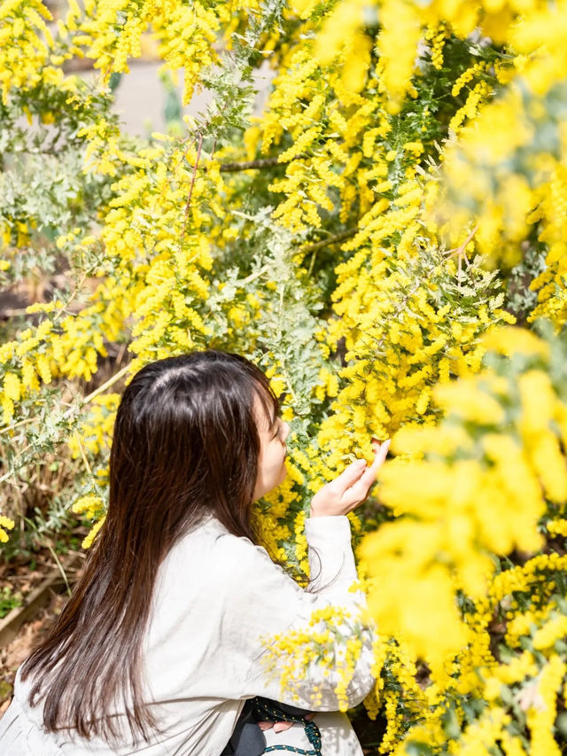 【東京都近郊】3月に行きたいお花かわかわいスポットまとめ
