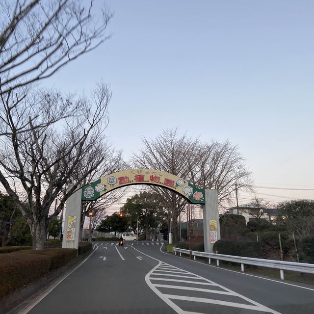 在動物園渡過美好放鬆的下午