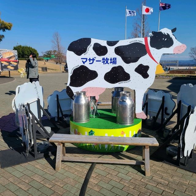 自然と動物と触れ合えるスポット