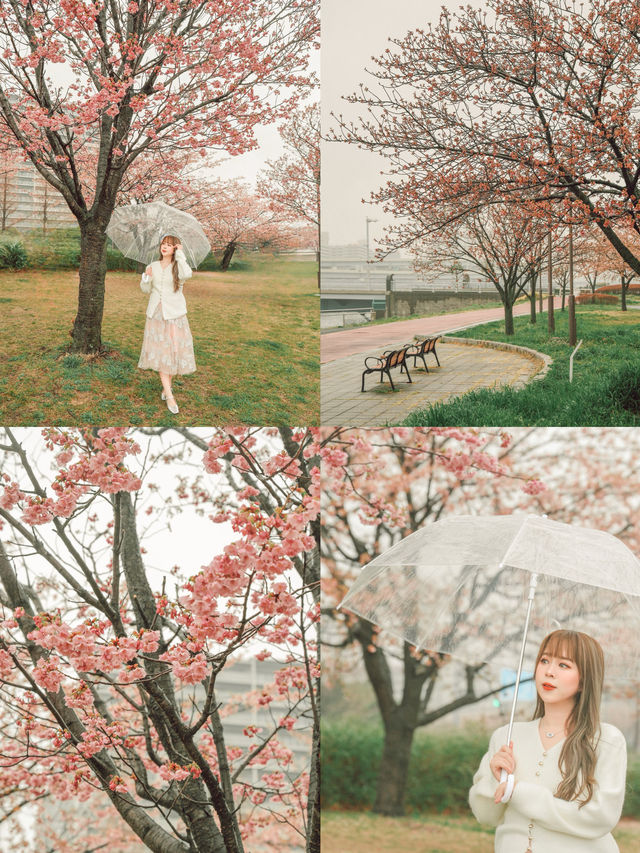 東京｜東京賞櫻花好去處：汐入公園🌸