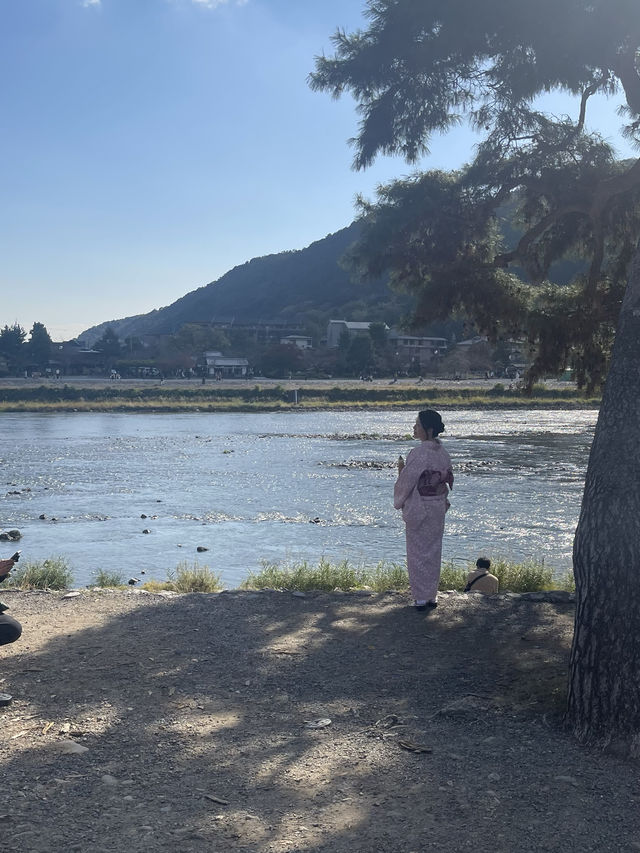 Arashiyama 🌳✨