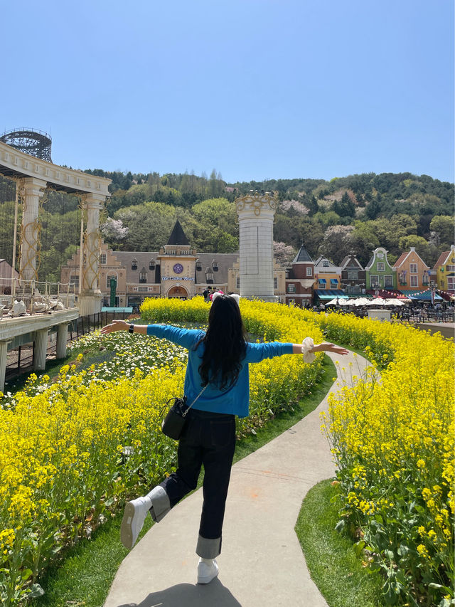 🌼🌺봄꽃놀이는 에버랜드에서 하세요🌷🌷