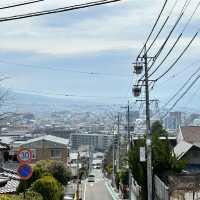 城山公園展望台：絕佳觀景點