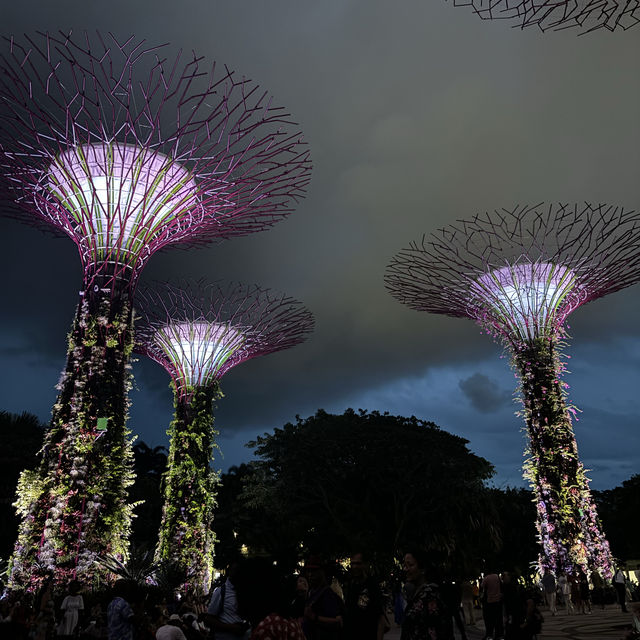 Garden by the bay 