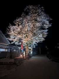 Avoid the tourists at Shirakawa-go 