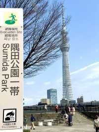 東京　東京観光　隅田公園の桜と東京スカイツリーのコラボは最高！
