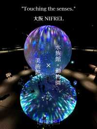 【大阪】水族館・動物園をartとして子供も大人も楽しめる体験型 「生きているミュージアム」