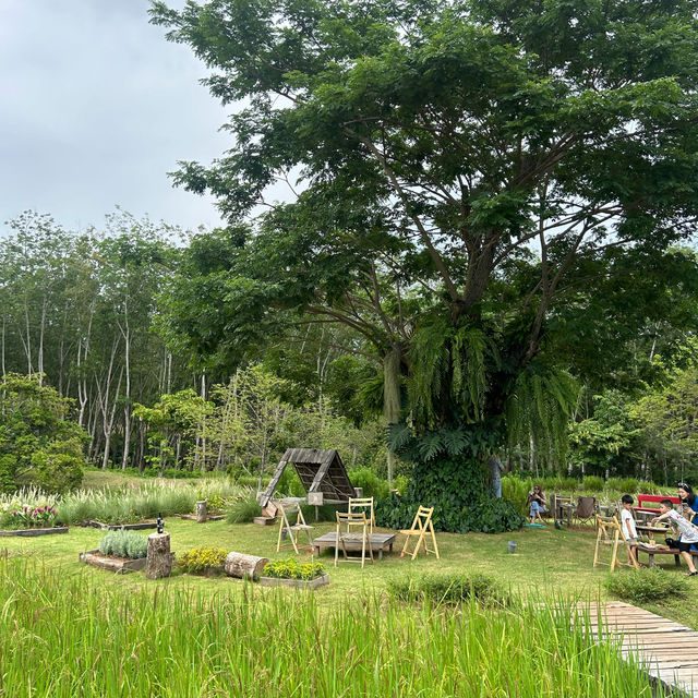 🥤  โอบบ์ Farm & Cafe แกลง ระยอง 🌳 🥤  โอบบ์ Farm & Cafe แกลง ระยอง 🌳