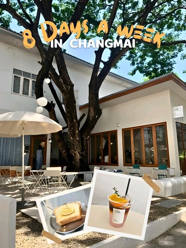 🍭 8 Days a Week คาเฟ่มินิมอล