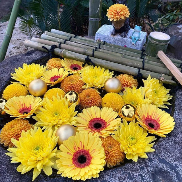 【福岡神社】花手水が美しい神社