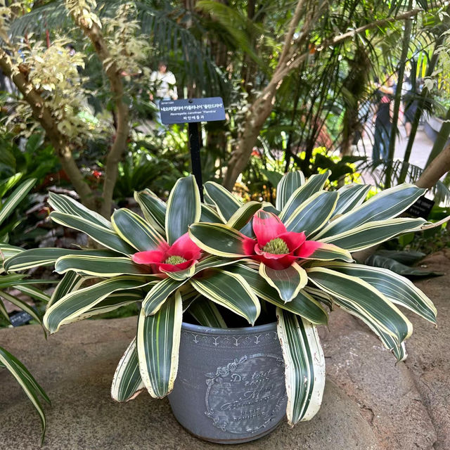 Miro Park：花園中的自然之美