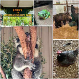 Caversham Wildlife Park