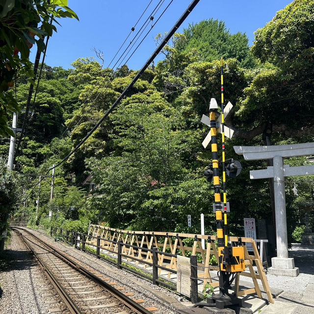 가마쿠라 조용한 여행지, 고료신사 ⛩️