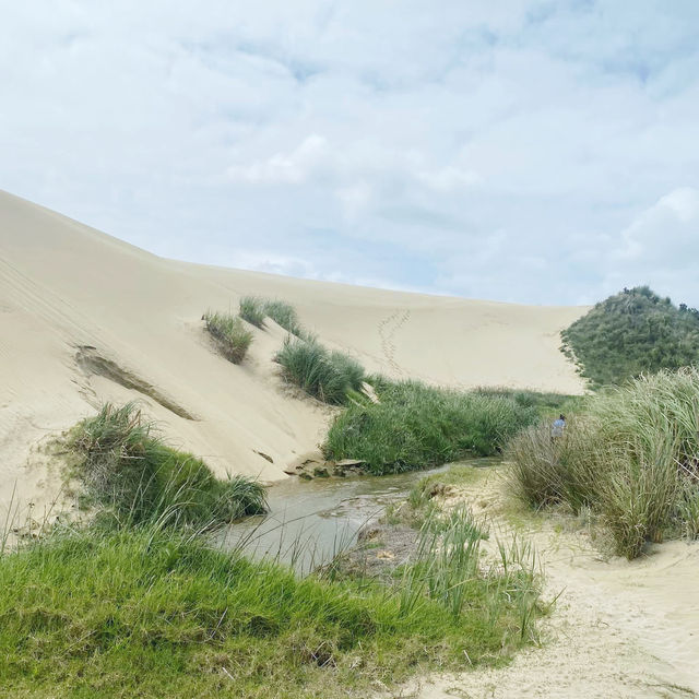 Giant Sand Dunes @ Cape Reinga 🇳🇿