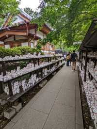 日本東京-來豪德寺帶隻招福貓回家吧！