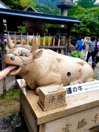 【京都/人気スポット】２万株の紫陽花！ハートの紫陽花❤️を探せ！京都、1.2を荒らそう激混みスポット