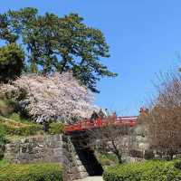 【小田原城址公園】全年適合遊覽，景色優美
