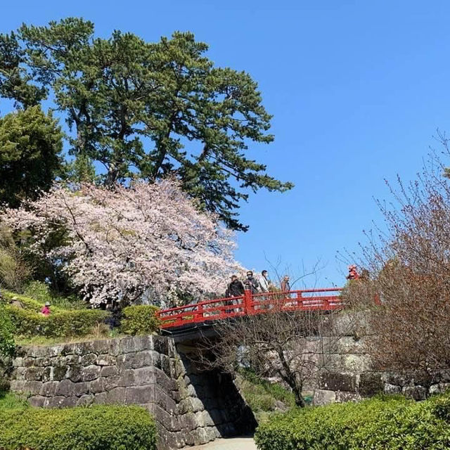 【小田原城址公園】全年適合遊覽，景色優美