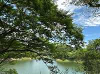 苗栗明德水庫：四季美景，適合欣賞自然景色和休閒活動