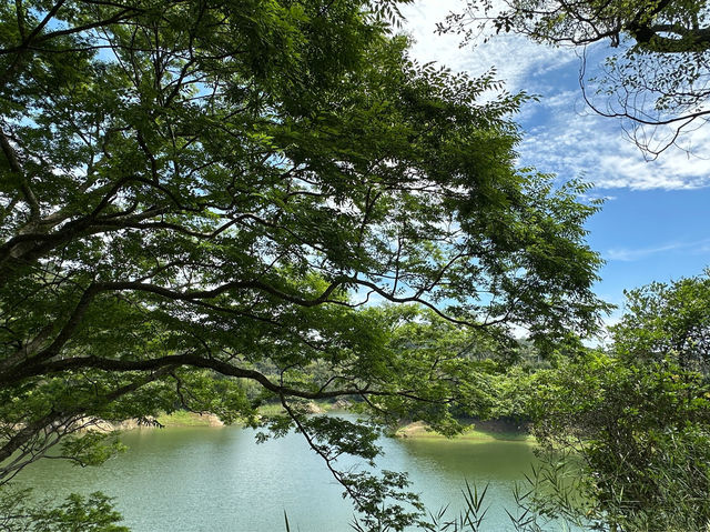 苗栗明德水庫：四季美景，適合欣賞自然景色和休閒活動