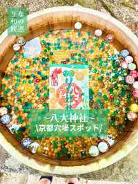 〜京都府〜混まない！初夏の夏詣におすすめ神社⛩️
