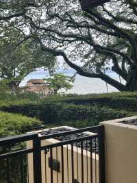 Wonderful ocean view resort 🤩