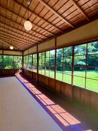 〜神奈川県〜初夏を感じる都会の癒しスポット