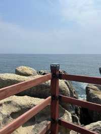 강원도 고성 BTS촬영지 산책하기🍀🌊