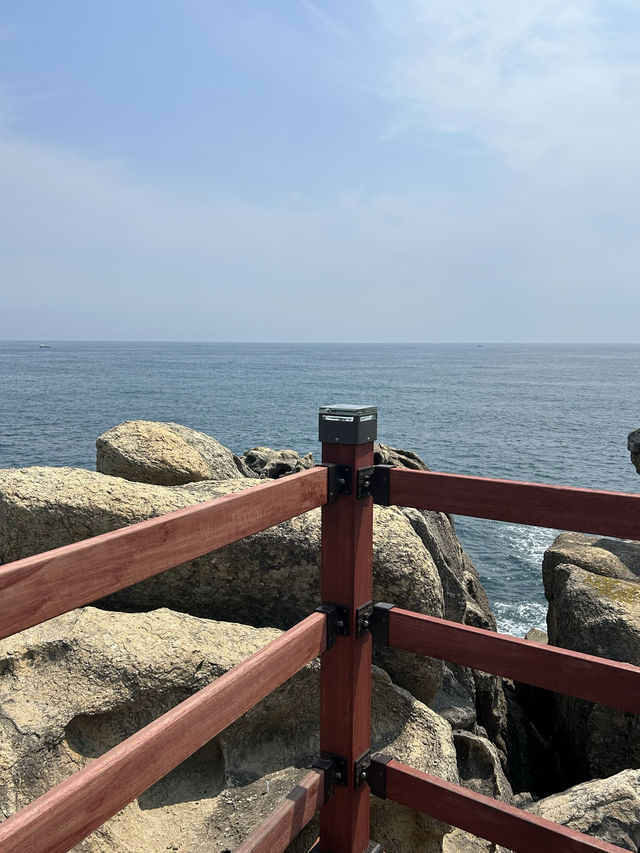 강원도 고성 BTS촬영지 산책하기🍀🌊