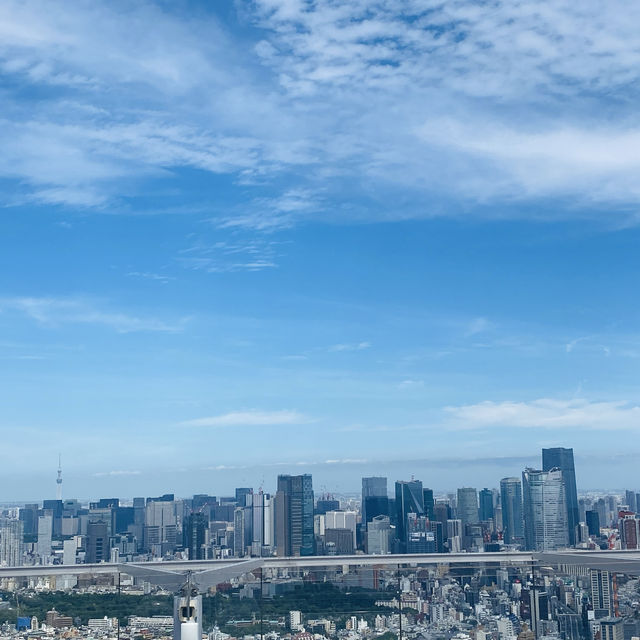 일본 도쿄 시부야 스카이