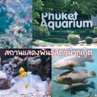 สถานแสดงพันธุ์สัตว์น้ำภูเก็ต