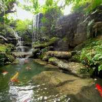 TARA CAFE' Khaoyai