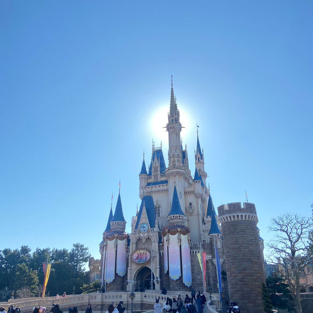 Tokyo Disneyland หน้าหนาวว