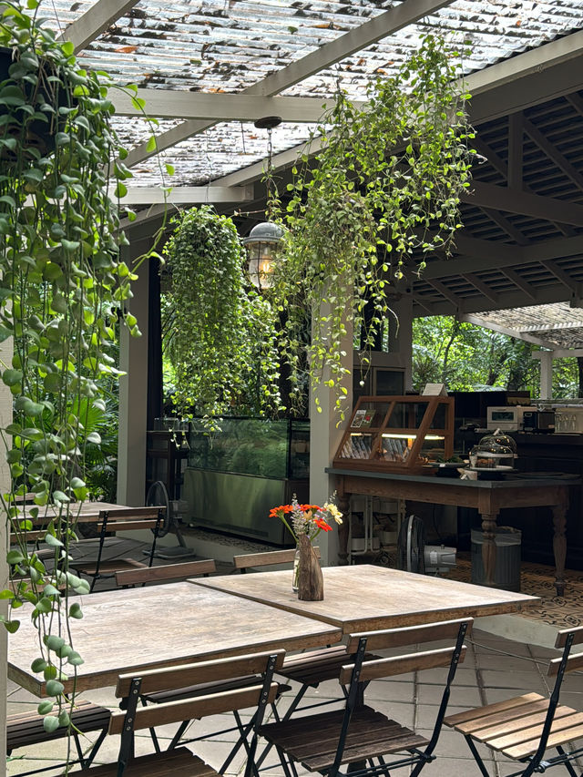 Little tree garden cafe 🌳🧺🪑🚪🪴