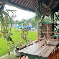 DREAMY LUNCH at Rice Fields!✨