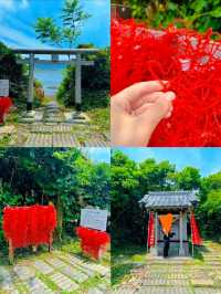 東京から2時間で行ける無人島🏝✨癒しの南国リゾート沖ノ島😎🌺【千葉】